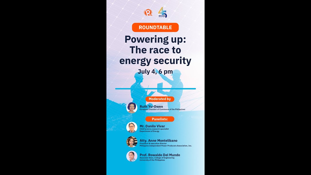 [ROUNDTABLE] Powering Up: The race to energy security